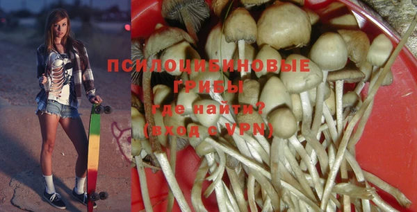 apvp Аркадак
